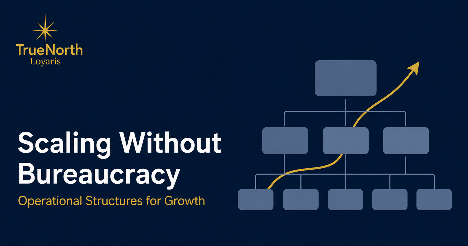Scaling Without Bureaucracy: Building Operational Structures for Growth