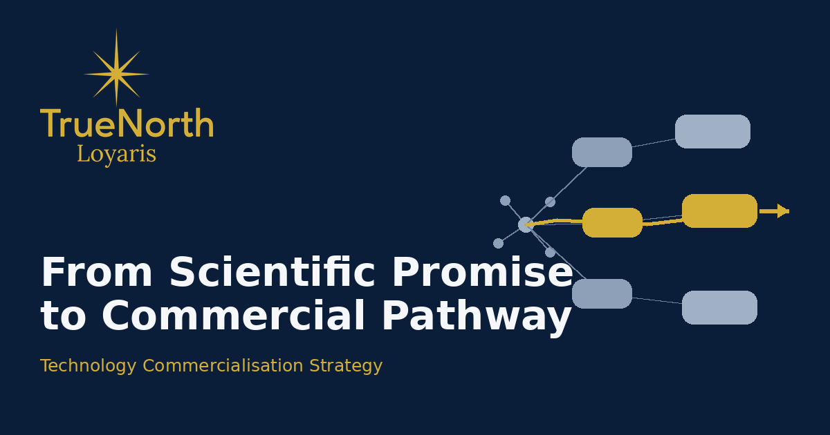 From Scientific Promise to Commercial Pathway: Prioritising Applications for Technology Commercialisation
